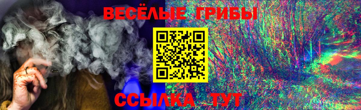 Крымск  Псилоцибиновые грибы MAGIC MUSHROOMS  Вход с VPN 